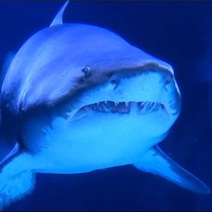 Meet your Posher, Derrick